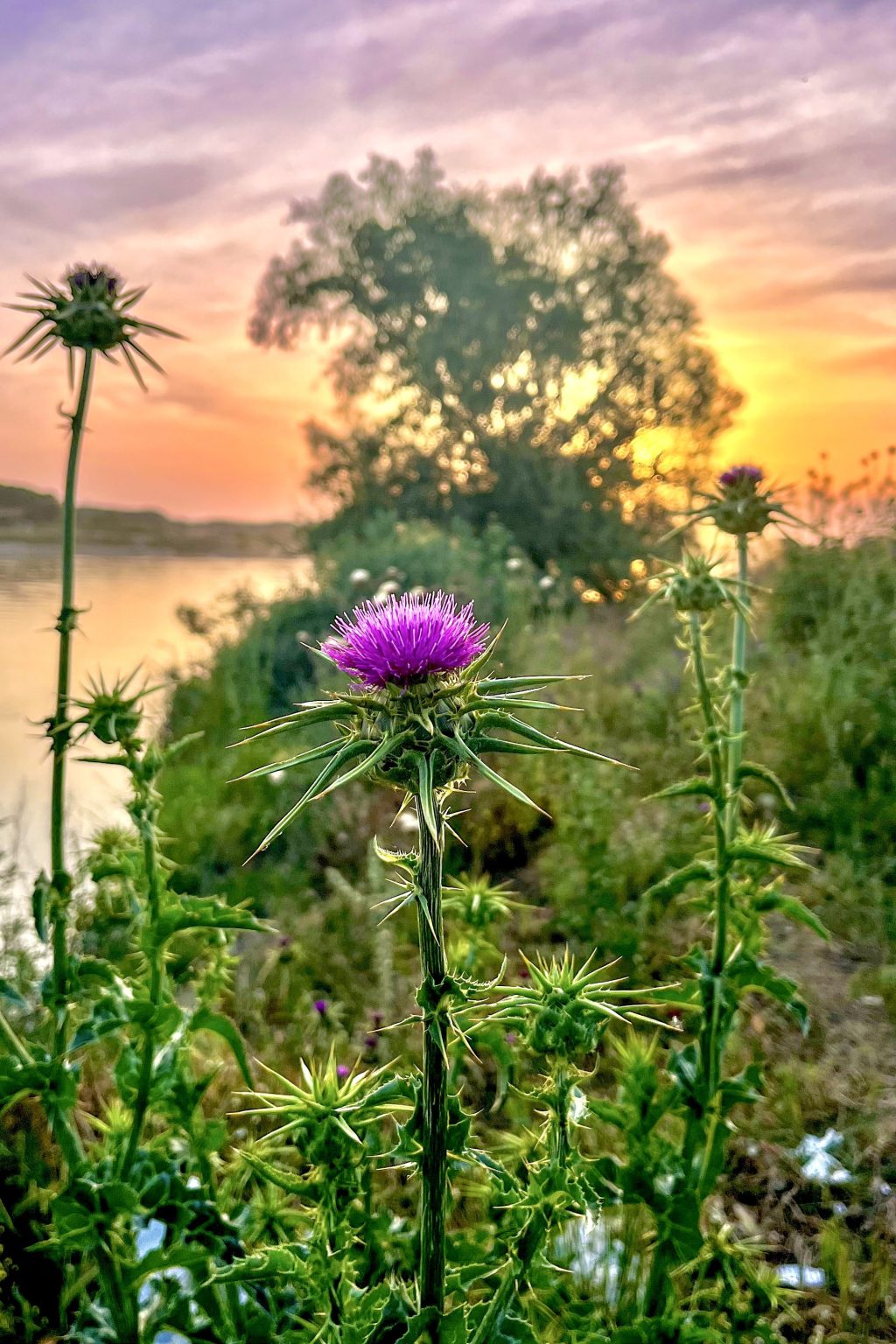 Ho’oponopono: Günlük Hayatta Zihinsel Yüklerle Baş Etmenin Bir&nbsp;Yolu